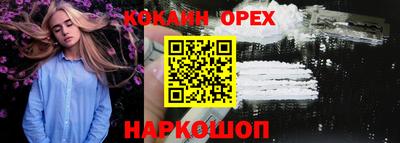 гашик Гай